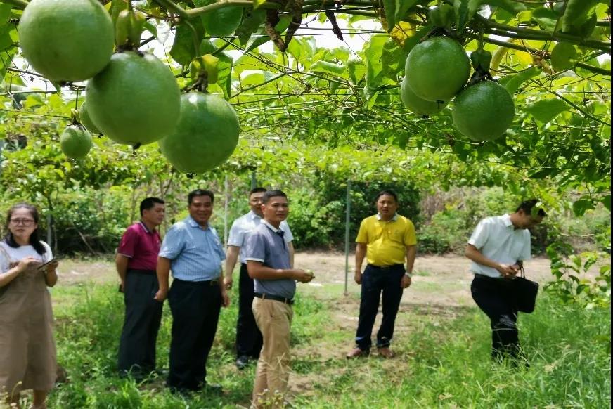 ΢ͼƬ_20191205105413